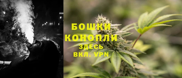 прущая мука Дмитриев
