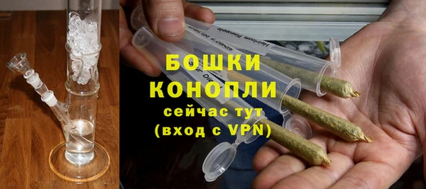прущая мука Дмитриев